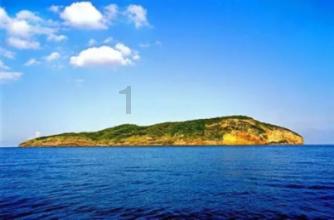 平南“荟味龚州”区域公用品牌发布会举办